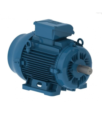 WEG SMOKE  2,0/8,0  KW 04/02 POL B3T IE3 F300