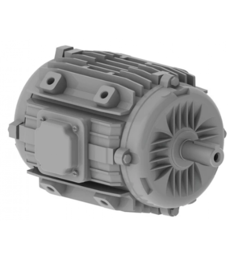 WEG SMOKE 0.25/1.1 kW 04/02 B30T 132S 300C TEAO WEG SMOKE 0.25/1.1 kW 04/02 B30T 132S 300C TEAO