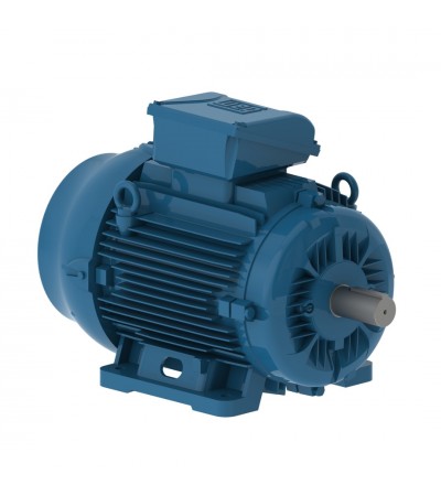 WEG W22 0,75 KW 1500D/D B3 IE3 ELEKTRİK MOTORU WEG W22 0,75 KW 1500D/D B3 IE3 ELEKTRİK MOTORU