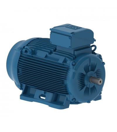 WEG W22 4,0 KW 3000D/D B3T IE3 ELEKTRİK MOTORU WEG W22 4,0 KW 3000D/D B3T IE3 ELEKTRİK MOTORU