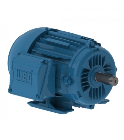 WEG W22 22 KW 3000 D/D B3R IE3 180M ELK. MOT. WEG W22 22 KW 3000 D/D B3R IE3 180M ELK. MOT.