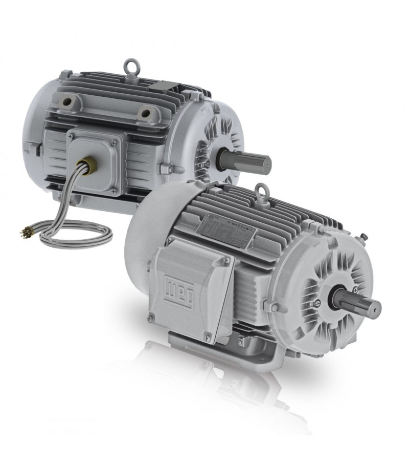 WEG SMOKE 0,75 KW 1500D/D B3T 80 300C-2H-IE3